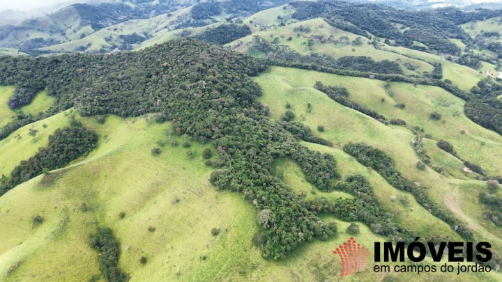 Fazenda em Sapucaí Mirim, Sapucaí-Mirim - foto 16