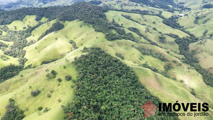 Fazenda em Sapucaí Mirim, Sapucaí-Mirim - foto 18