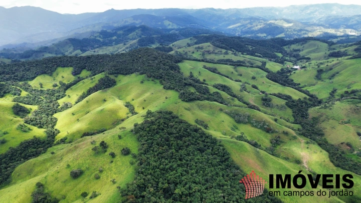Fazenda em Sapucaí Mirim, Sapucaí-Mirim - foto 19