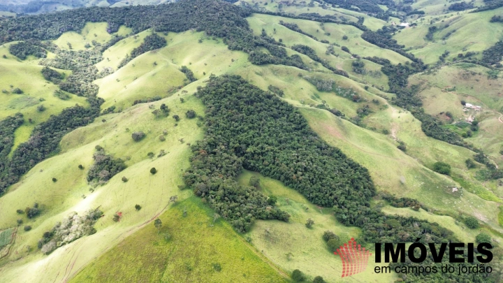 Fazenda em Sapucaí Mirim, Sapucaí-Mirim - foto 20