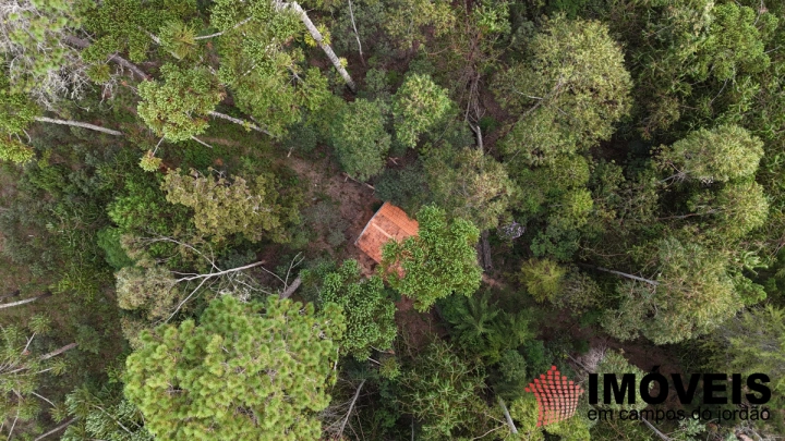 Sítio em Parque Ferradura, Campos do Jordão - foto 6