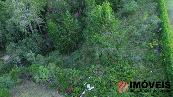 Terreno/Lote em Alto da Boa Vista, Campos do Jordão - foto 10