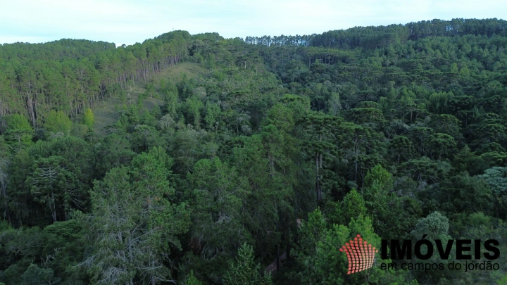 Terreno/Lote em Alto da Boa Vista, Campos do Jordão - foto 14