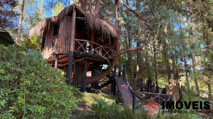 Casa em Vila Capivari, Campos do Jordão - foto 11