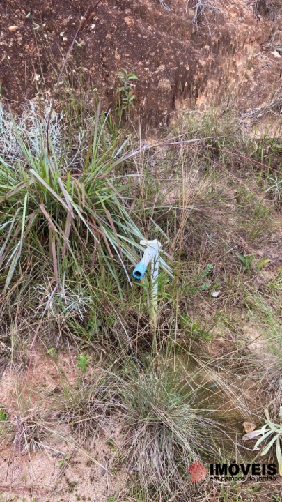 Terreno/Lote em Minalba, Campos do Jordão - foto 5