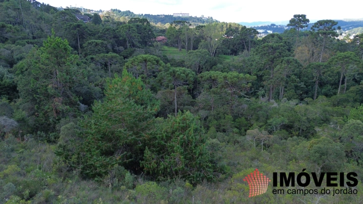 Terreno/Lote em Atalaia, Campos do Jordão - foto 5