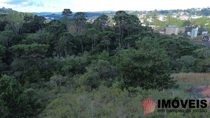 Terreno/Lote em Atalaia, Campos do Jordão - foto 6