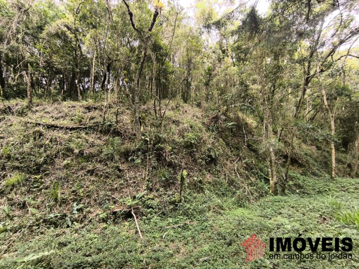 Terreno/Lote em Recanto das Araucárias, Campos do Jordão - foto 1