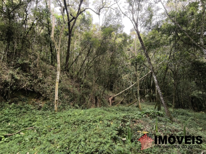 Terreno/Lote em Recanto das Araucárias, Campos do Jordão - foto 2