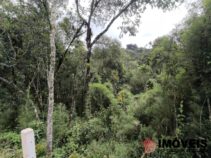 Terreno/Lote em Recanto das Araucárias, Campos do Jordão - foto 3