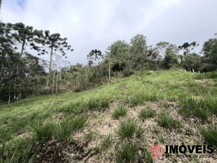 Terreno/Lote em Recanto das Araucárias, Campos do Jordão - foto 1
