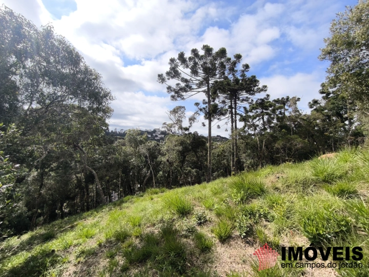 Terreno/Lote em Recanto das Araucárias, Campos do Jordão - foto 2