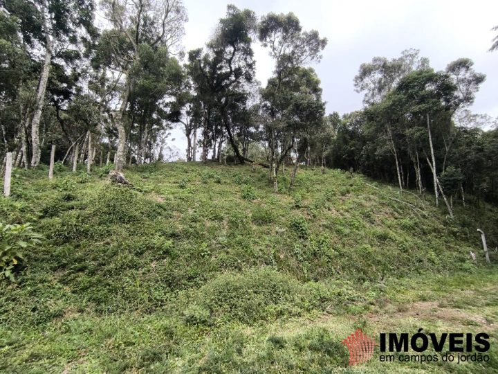 Terreno/Lote em Recanto das Araucárias, Campos do Jordão - foto 3