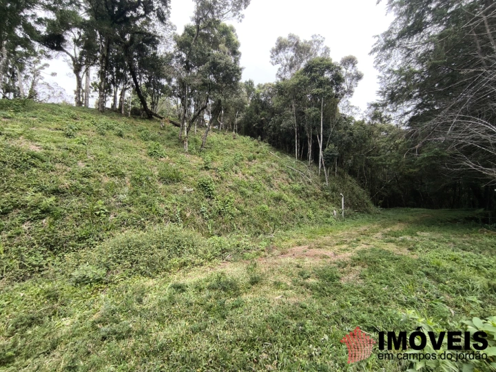 Terreno/Lote em Recanto das Araucárias, Campos do Jordão - foto 4