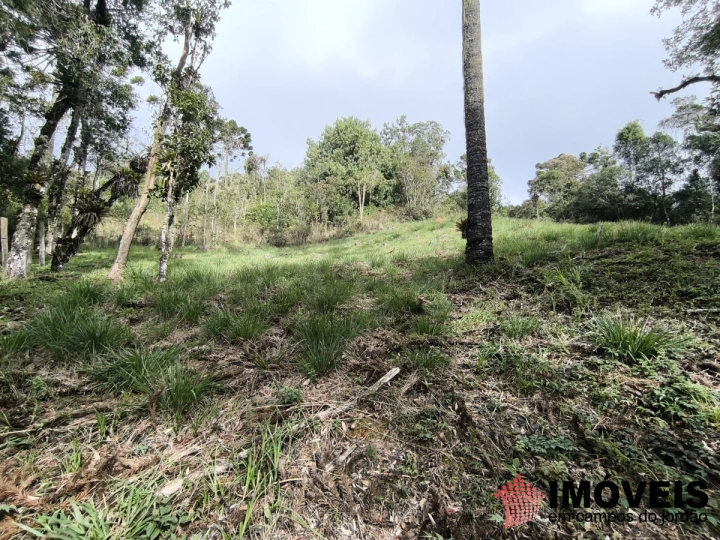 Terreno/Lote em Recanto das Araucárias, Campos do Jordão - foto 5