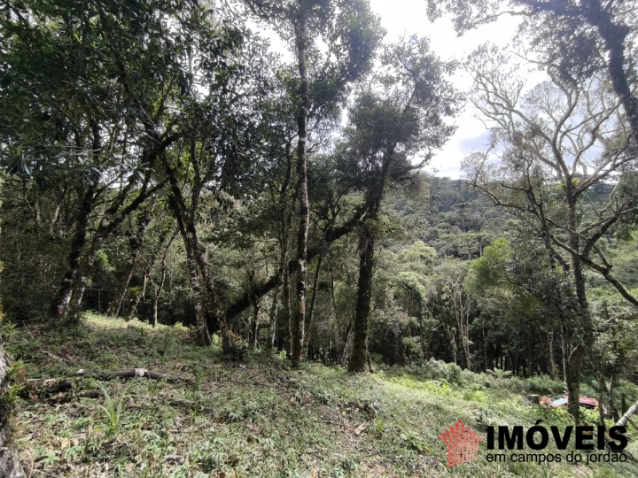 Terreno/Lote em Recanto das Araucárias, Campos do Jordão - foto 6