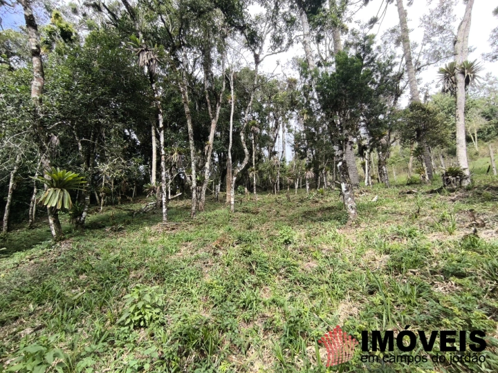 Terreno/Lote em Recanto das Araucárias, Campos do Jordão - foto 1