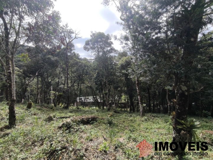 Terreno/Lote em Recanto das Araucárias, Campos do Jordão - foto 2
