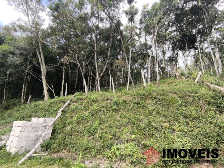 Terreno/Lote em Recanto das Araucárias, Campos do Jordão - foto 3