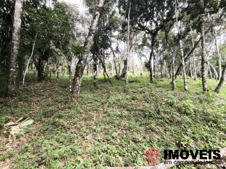 Terreno/Lote em Recanto das Araucárias, Campos do Jordão - foto 4