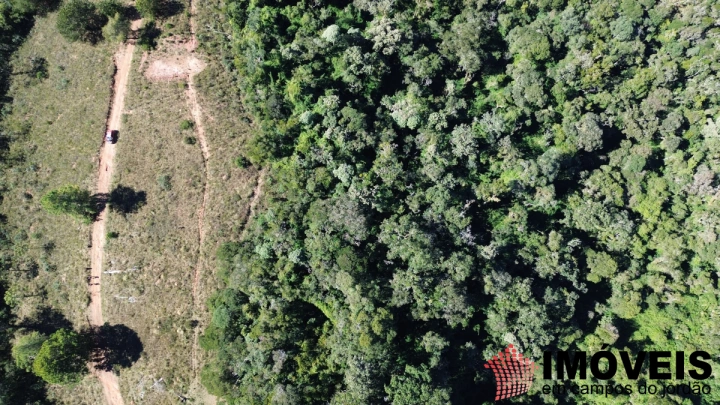 Terreno/Lote em Nova Capivari, Campos do Jordão - foto 3