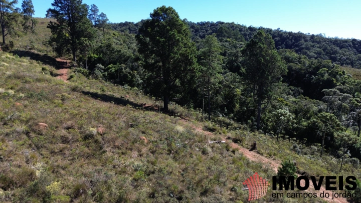 Terreno/Lote em Nova Capivari, Campos do Jordão - foto 6