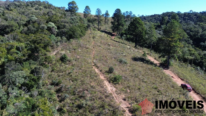 Terreno/Lote em Nova Capivari, Campos do Jordão - foto 7