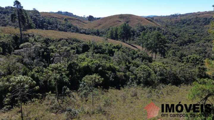 Terreno/Lote em Nova Capivari, Campos do Jordão - foto 11