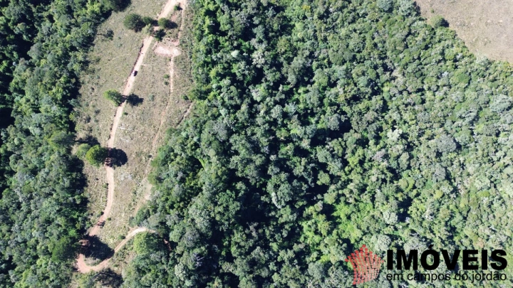 Terreno/Lote em Nova Capivari, Campos do Jordão - foto 13