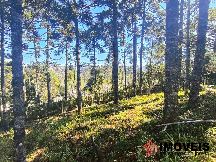 Terreno/Lote em Jardim Miraflores, Campos do Jordão - foto 1
