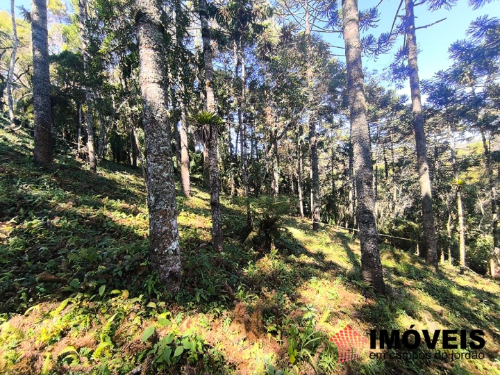 Terreno/Lote em Jardim Miraflores, Campos do Jordão - foto 2