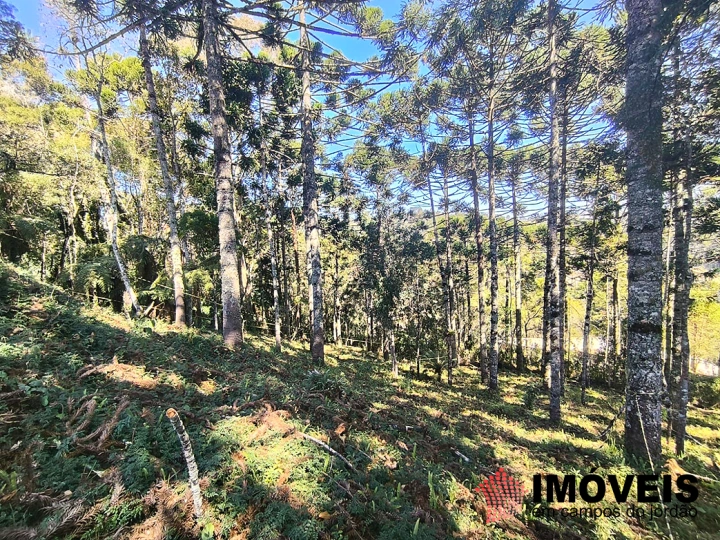 Terreno/Lote em Jardim Miraflores, Campos do Jordão - foto 3