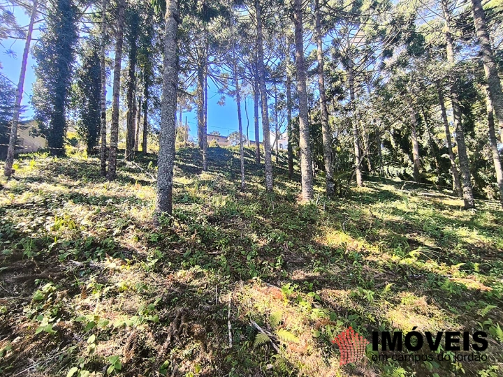 Terreno/Lote em Jardim Miraflores, Campos do Jordão - foto 4
