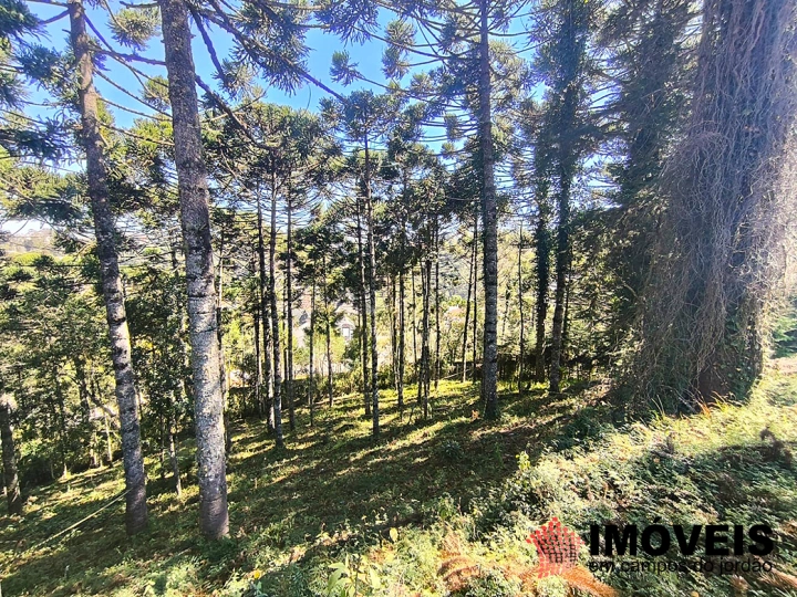 Terreno/Lote em Jardim Miraflores, Campos do Jordão - foto 5