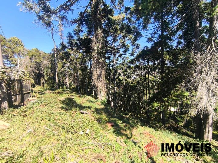 Terreno/Lote em Jardim Miraflores, Campos do Jordão - foto 6
