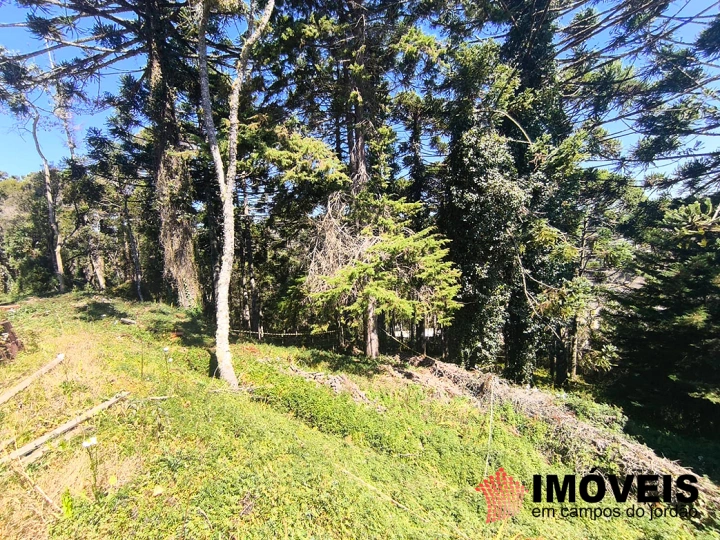 Terreno/Lote em Jardim Miraflores, Campos do Jordão - foto 7