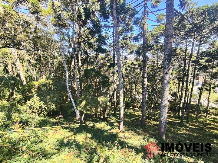 Terreno/Lote em Jardim Miraflores, Campos do Jordão - foto 8