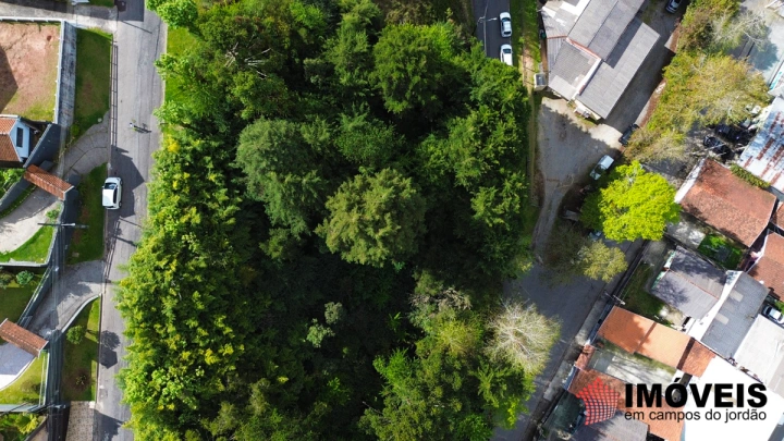 Terreno/Lote em Recanto Dubieux, Campos do Jordão - foto 3