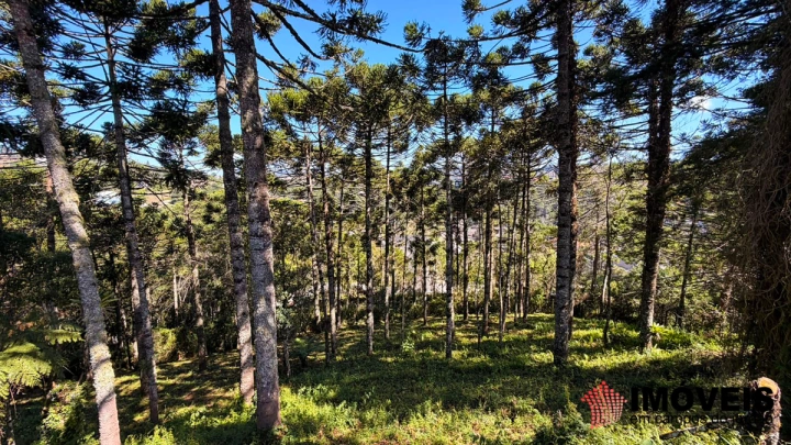 Terreno/Lote em Jardim Miraflores, Campos do Jordão - foto 1