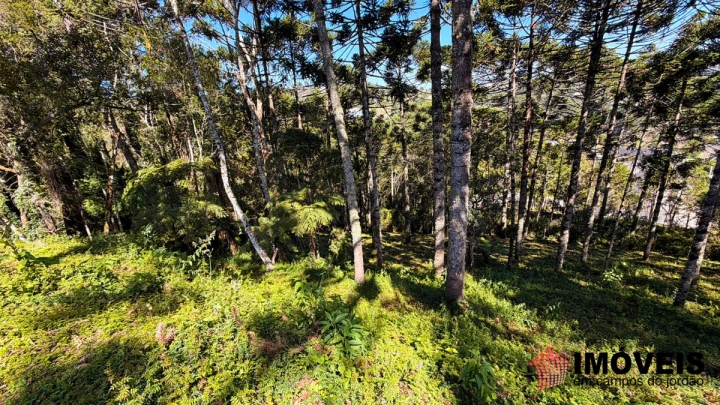 Terreno/Lote em Jardim Miraflores, Campos do Jordão - foto 3
