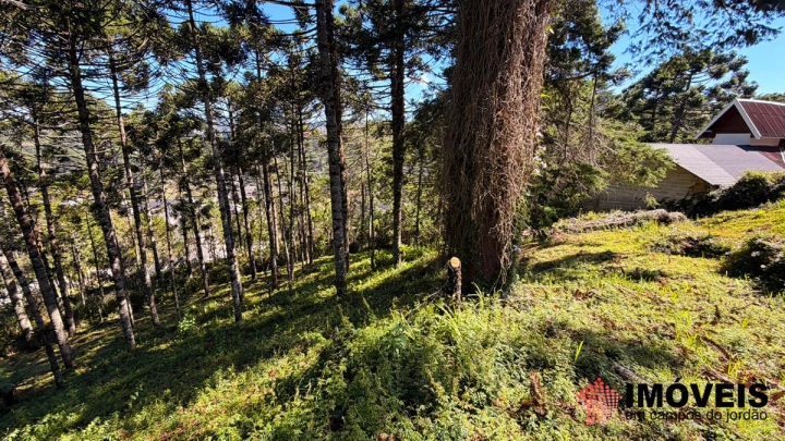 Terreno/Lote em Jardim Miraflores, Campos do Jordão - foto 4