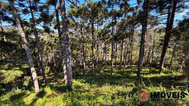 Terreno/Lote em Jardim Miraflores, Campos do Jordão - foto 5