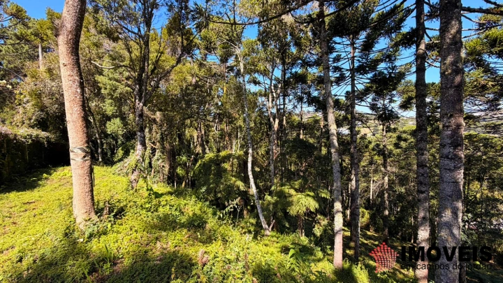 Terreno/Lote em Jardim Miraflores, Campos do Jordão - foto 6