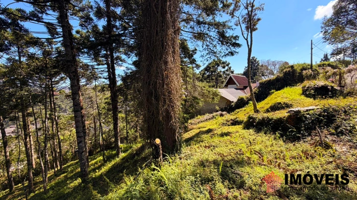 Terreno/Lote em Jardim Miraflores, Campos do Jordão - foto 7