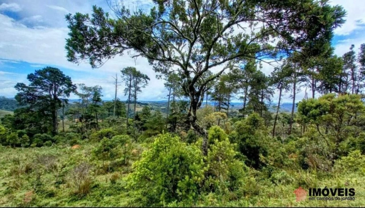 Área para Incorporação em Parque Ferradura, Campos do Jordão - foto 13