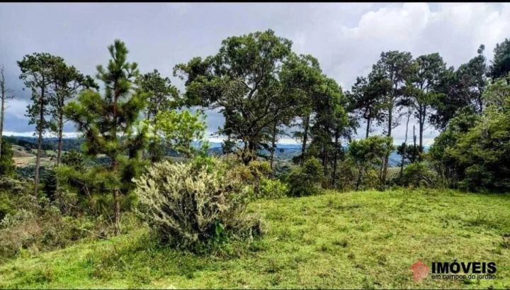 Área para Incorporação em Parque Ferradura, Campos do Jordão - foto 17