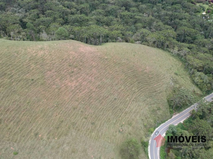 Área para Incorporação em Descansópolis, Campos do Jordão - foto 3