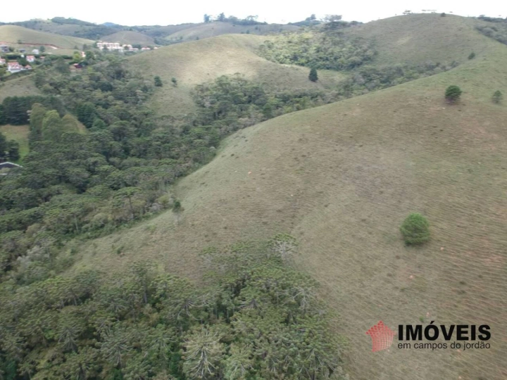 Área para Incorporação em Descansópolis, Campos do Jordão - foto 7