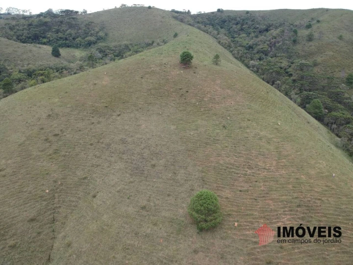 Área para Incorporação em Descansópolis, Campos do Jordão - foto 10