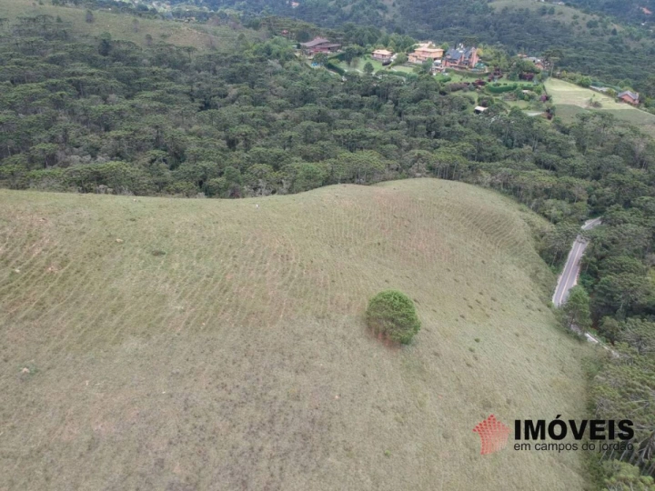 Área para Incorporação em Descansópolis, Campos do Jordão - foto 12